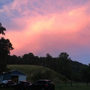 Meet your Posher, Ally